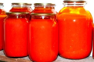 1 Cup (240.0 G) Tomatoes in Tomato Juice, canned