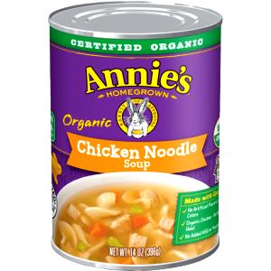 1 cup (243 g) Organic Chicken Noodle Soup