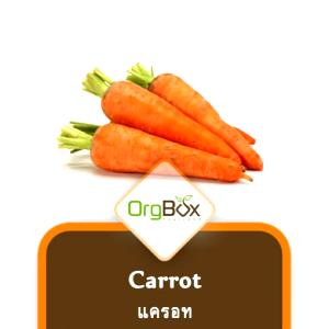 1 cup (245 g) Organic Thai-Style Carrot & Sweet Potato Soup