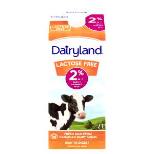 1 cup (250 ml) Lactose Free 2% Partly Skimmed Milk