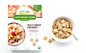 1 cup (53 g) Organic Multi Grain Squares Cereal