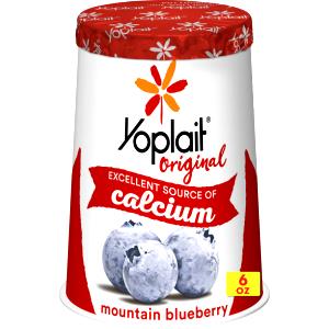 1 cup (6 oz) Blueberry Yogurt