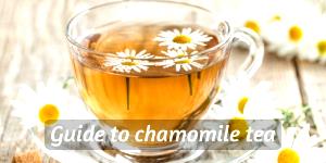 1 Cup (8 Fl Oz) Chamomile Tea (Brewed)
