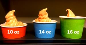 1 Cup (8 Fl Oz) Frozen Yogurt