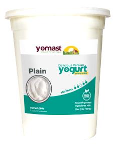 1 Cup (8 Fl Oz) Plain Yogurt (Whole Milk)