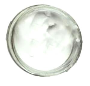 1 Cup (8 Fl Oz) Plain Yogurt