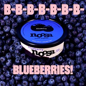 1 cup (8 oz) Fat Free Probiotic Blueberry Yogurt