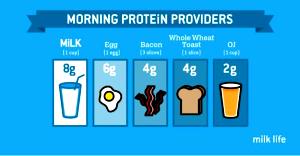 1 cup (8 oz) Protein Milk