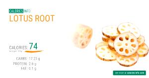 1 cup (85 g) Lotus Root