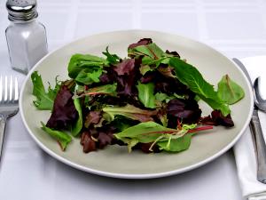 1 cup (85 g) Mixed Salad Greens