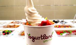 1 cup (89 g) Frozen Yogurt (Small)