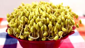 1 Cup (94.0 G) Sprouted Soybean, cooked