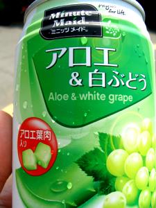 1 Cup Applesauce (Without Added Ascorbic Acid, Unsweetened, Canned)