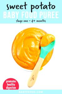1 Cup Baby Food Sweetpotatoes