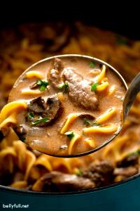 1 Cup Beef Stroganoff Soup, Chunky, Rts
