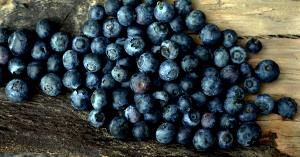 1 Cup Blueberries in Heavy Syrup (Cooked or Canned)