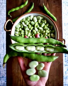 1 Cup Broad Bean, Mature, Canned (Fava)