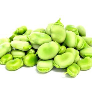 1 Cup Broadbeans (Fava Beans) (Mature Seeds, Without Salt, Cooked, Boiled)
