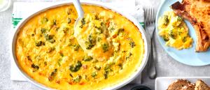 1 Cup Broccoli Casserole (Broccoli, Rice, Cheese and Mushroom Sauce)