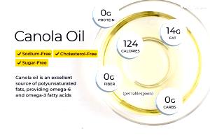 1 Cup Canola Vegetable Oil