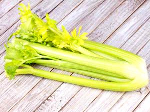 1 Cup Celery, Boiled W/Salt