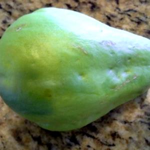 1 Cup Chayote, Boiled, No Salt