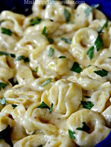 1 Cup Cheese & Roasted Garlic Tortelloni