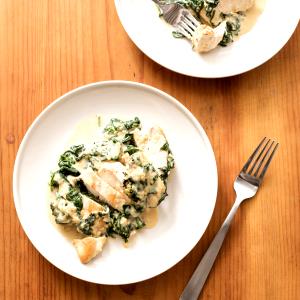 1 Cup Chicken Florentine