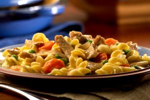 1 Cup Chicken or Turkey, Noodles and Vegetables in Gravy (Mixture)
