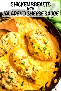 1 Cup Chicken or Turkey with Cheese Sauce (Mixture)