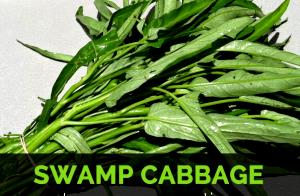 1 Cup, Chopped (98.0 G) Swamp Cabbage