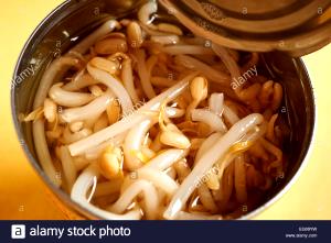 1 Cup Cooked Bean Sprouts (from Canned)