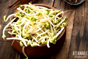 1 Cup Cooked Bean Sprouts (from Fresh)