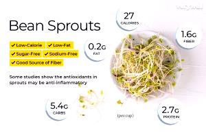 1 Cup Cooked Bean Sprouts