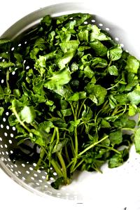 1 Cup Cooked Cress (from Fresh, Fat Not Added in Cooking)