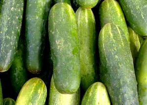 1 Cup Cooked Cucumber (Fat Not Added in Cooking)