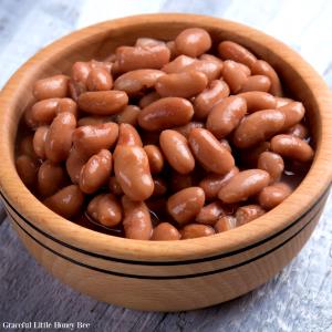 1 Cup Cooked Dry or Black, Brown or Bayo Beans (Fat Not Added in Cooking)