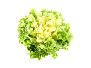 1 Cup Cooked Escarole (Fat Added in Cooking)