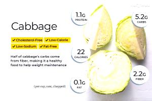 1 Cup Cooked Green Cabbage (Fat Not Added in Cooking)