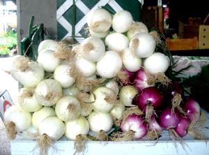 1 Cup Cooked Mature Onions