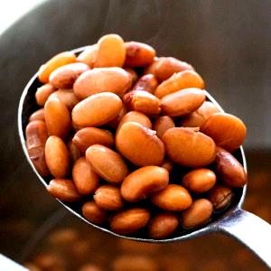 1 Cup Cooked Pinto, Calico or Red Beans (Fat Not Added in Cooking)