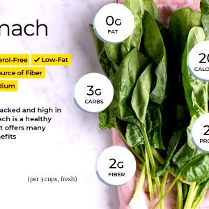 1 Cup Cooked Spinach Noodles (Fat Added in Cooking)