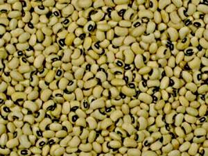 1 Cup Cowpea, Boiled, No Added Salt