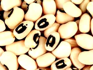 1 Cup Cowpea, Boiled W/Salt (Catjang)