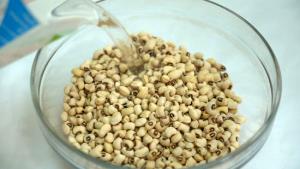 1 Cup Cowpea, Boiled W/Salt