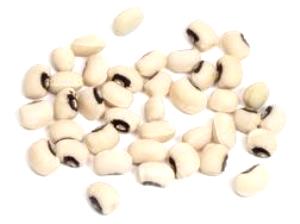 1 Cup Cowpea, Raw (Catjang)