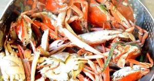 1 Cup Crab, Blue, Cooked