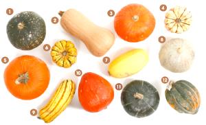 1 Cup Cubed, All Varieties Baked Winter Type Squash (No Fat or Sugar Added in Cooking)