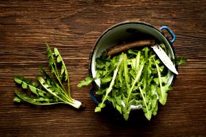 1 Cup Dandelion Greens, Boiled W/Salt