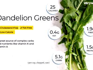 1 Cup Dandelion Greens, Raw